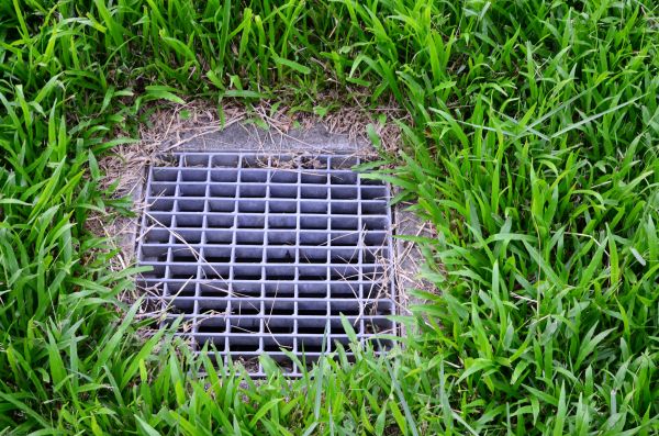 Cost of Yard Water Drainage in Lynnwood