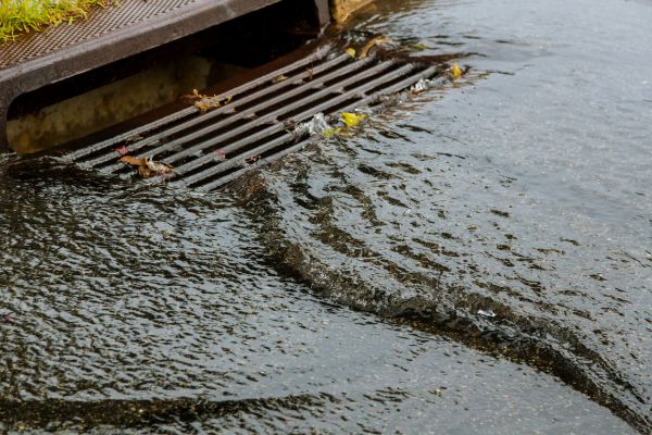 Cost of Storm Drainage Service in Lynnwood
