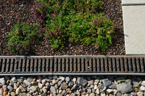 Cost of Lawn Drainage Repair in Lynnwood