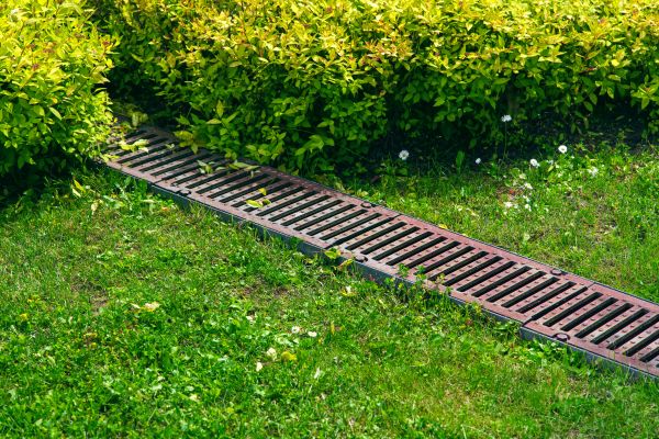 Cost of Yard Drainage Installation in Lynnwood