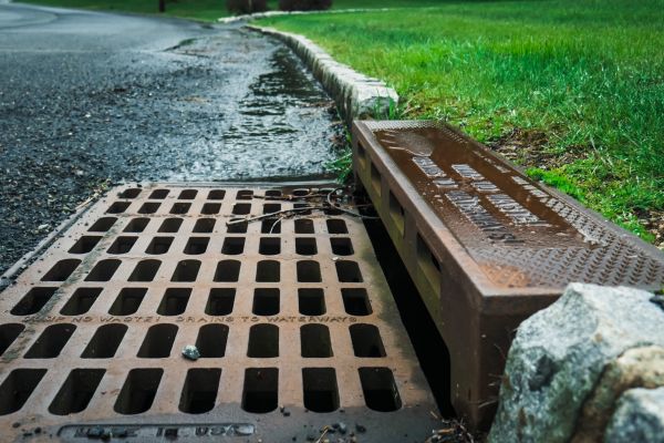 Cost of Storm Drain Repair in Lynnwood