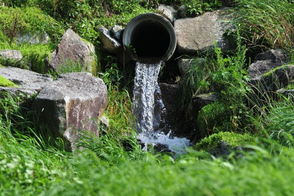 Cost of Water Redirection in Lynnwood
