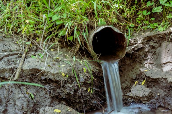 Drainage Tile Repair in Lynnwood