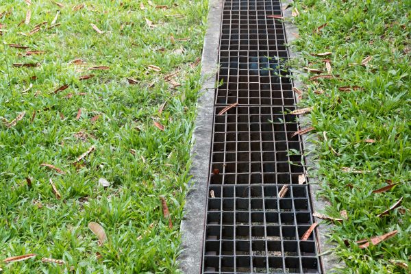 Exterior Drain Repair in Lynnwood