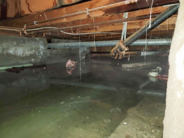 Cost of Crawlspace Drainage in Lynnwood