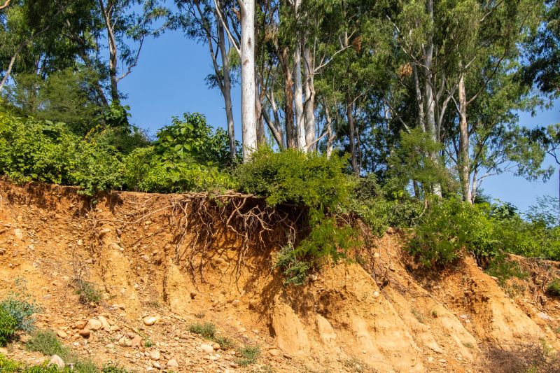 Erosion Control Solutions