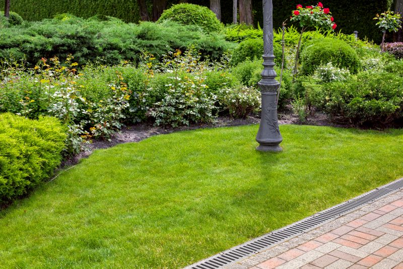 Residential Landscape Drainage
